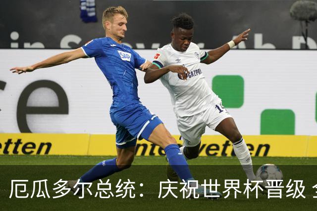 厄瓜多尔总统：庆祝世界杯晋级 全国放假一天